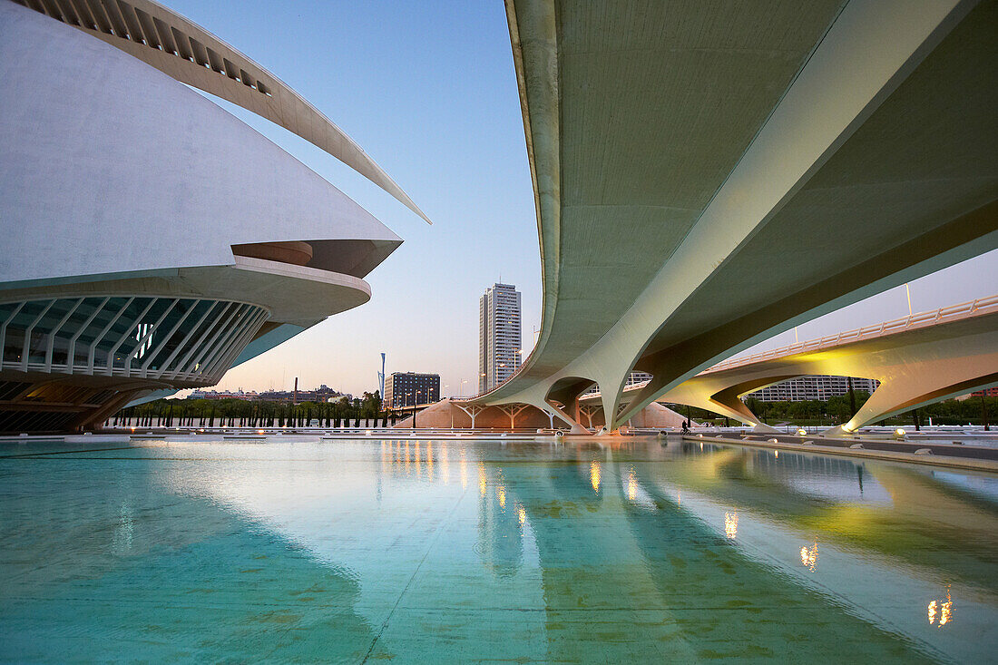 CAC. Architect Santiago Calatrava, Ciudad de las Artes y de las Ciencias. City Of Arts and Sciences. Valencia. Comunidad Valenciana. Spain.