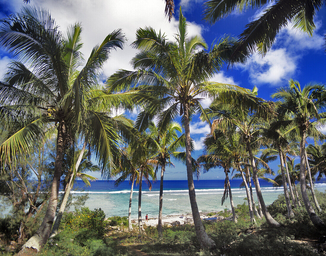 Cook Islands, Mangaia Island, island landscape.