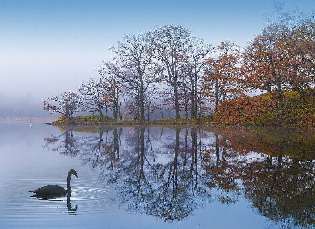 rydal,lake district, cumbria, england, uk, europe.