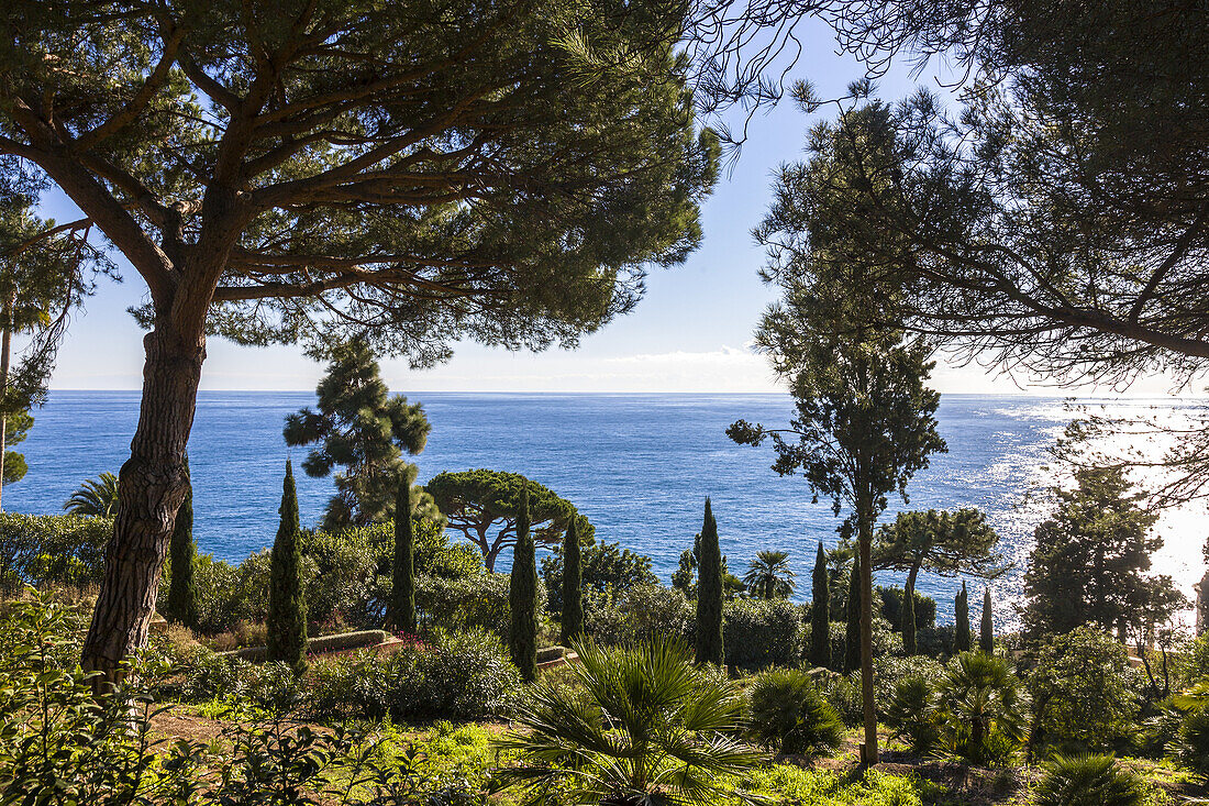 Mar i Murtra garden. Blanes. Spain.