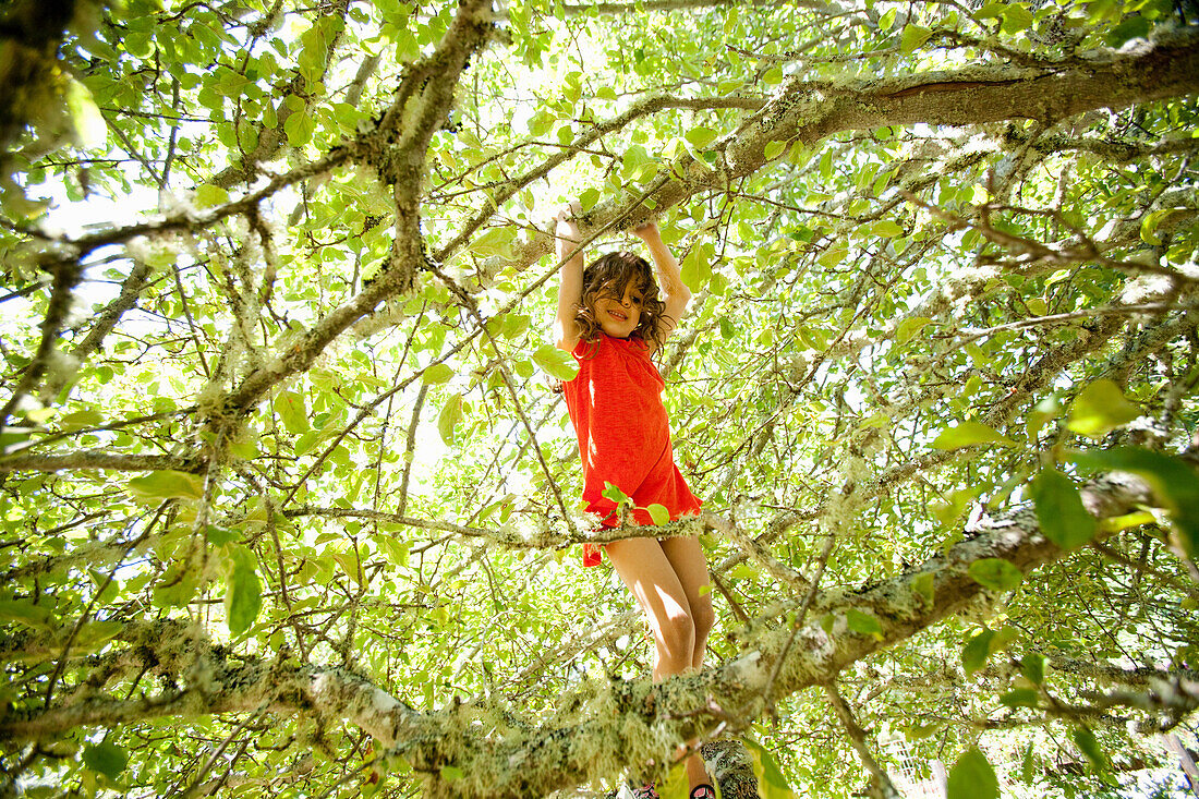 Girl climbing tree