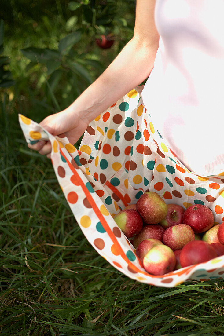 Woman carrying apples in apron