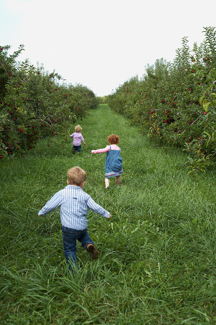 Three children running in apple orchard
