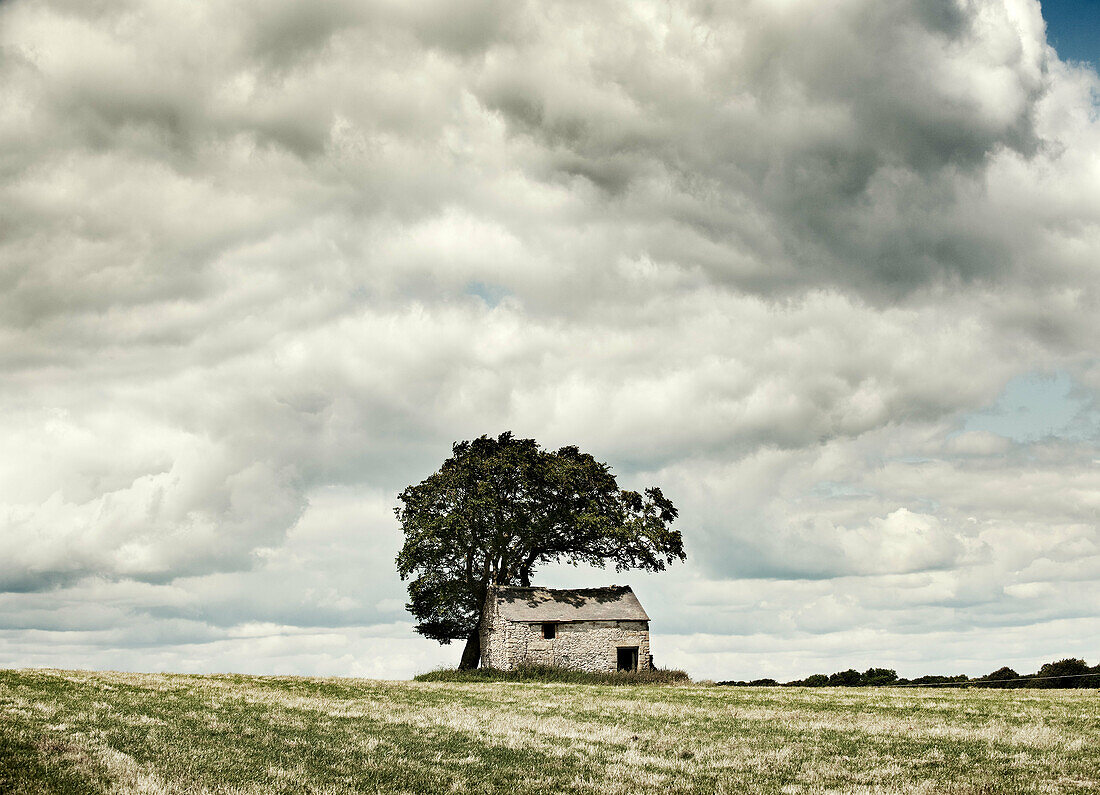 Barn in a field