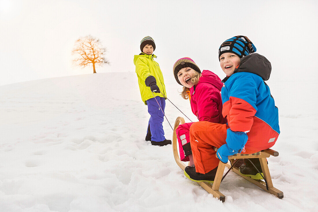 Boy pulling two friend through snow on toboggan