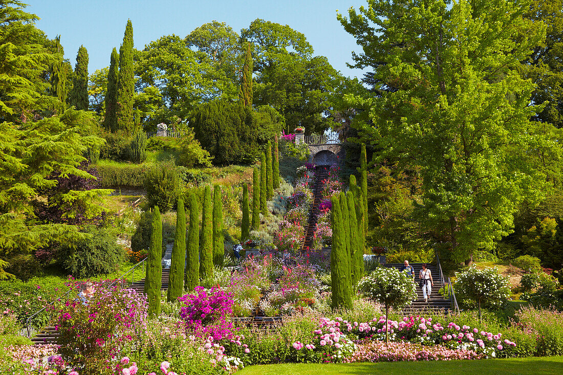 Blumengarten auf der Insel Mainau, Italienische Blumen- Wassertreppe, Überlinger See, Bodensee, Baden-Württemberg, Deutschland, Europa