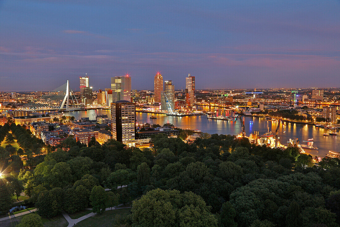 View at the Harbour of Rotterdam, Skyline with Erasmus bridge, Province of Southern Netherlands, Südholland, Netherlands, Europe