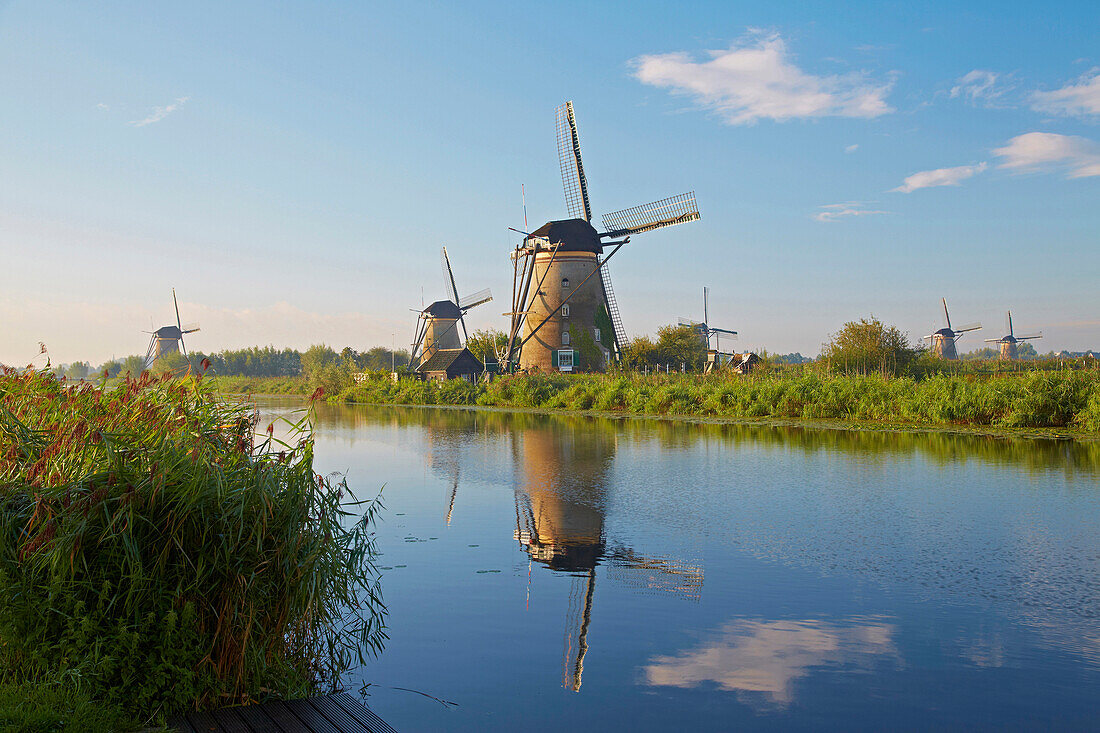 First morning sun at the old windmills at Kinderdijk, Province of Southern Netherlands, South Holland, Netherlands, Europe