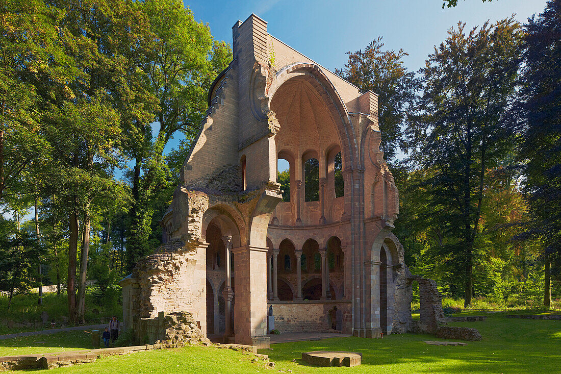 Ruin of former Heisterbach cloister at Koenigswinter, North Rhine-Westphalia, Mittelrhein, Germany, Europe