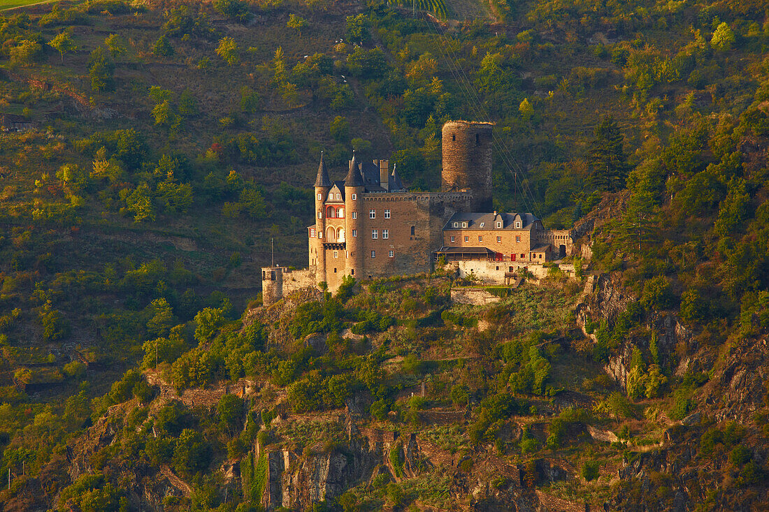 Blick von der Loreley bei St. Goarshausen auf Burg Katz, Mittelrhein, Rheinland-Pfalz, Deutschland, Europa