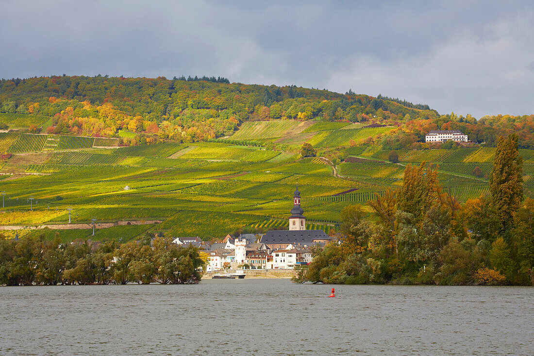 Blick über den Rhein auf Weinberge, den Adlerturm und die St. Jakobuskirche in Rüdesheim, Mittelrhein, Hessen, Deutschland, Europa