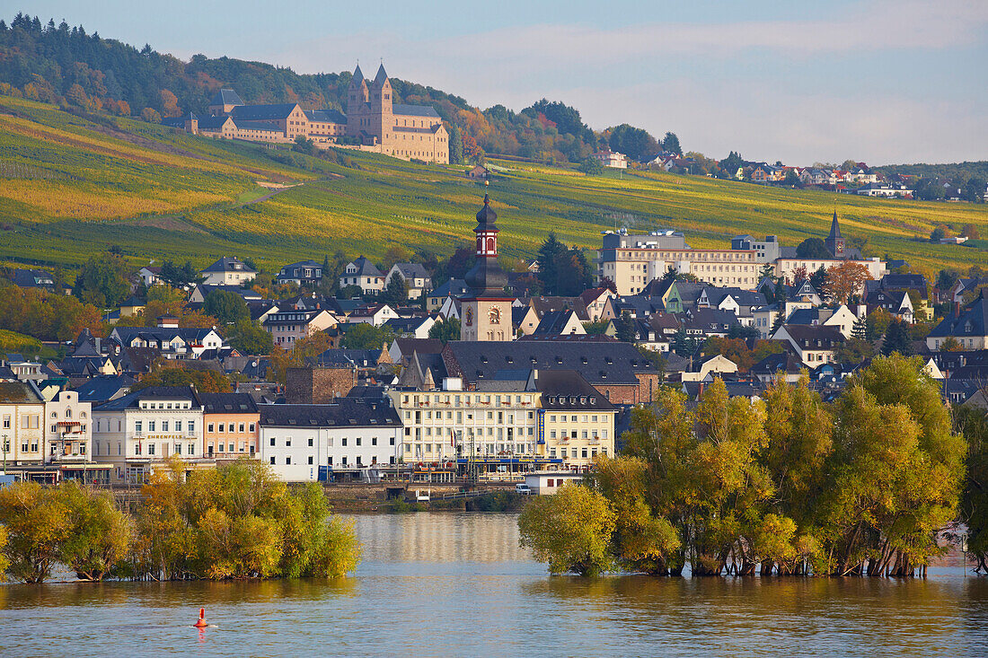 View across the river Rhine to vineyards, St. Jakobus Church, St. Hildegard cloister, Rudesheim, Mittelrhein, Middle Rhine, Hesse, Germany, Europe