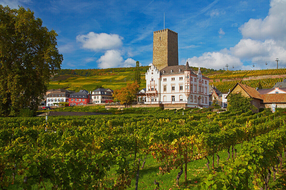 View at Boosenburg castle in Rudesheim, Mittelrhein, Middle Rhine, Hesse, Germany, Europe