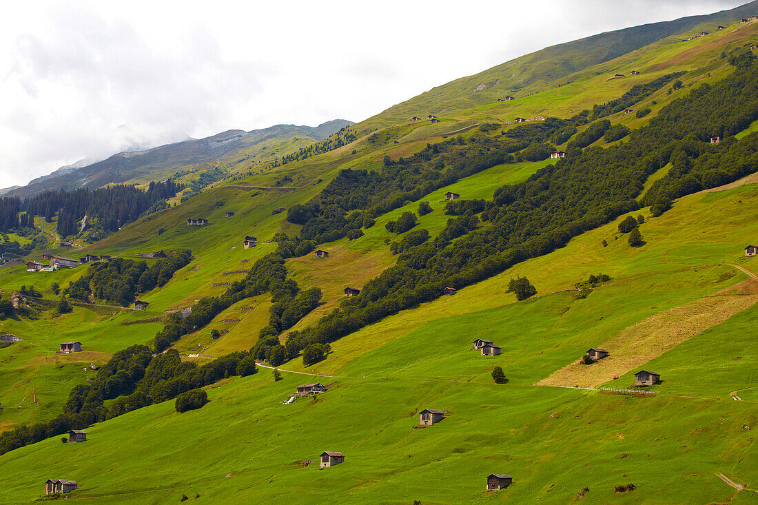 Blick auf die Bergwiesen mit Heustadeln in Vals, Rhein, Valserrhein, Kanton Graubünden, Schweiz, Europa