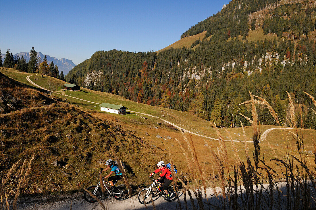 Mountain bikers off-roading, Berchtesgadener Land, Upper Bavaria, Germany