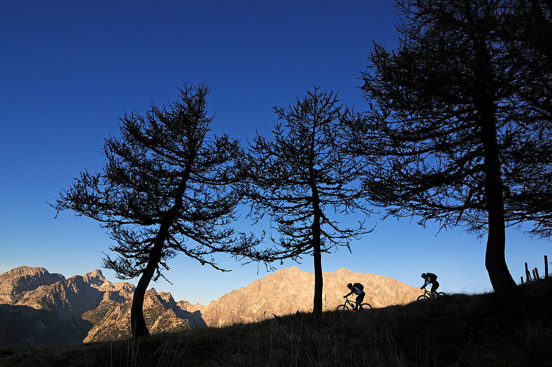 Mountain bikers on mount Feuerpalven, Watzmann in background, Berchtesgadener Land, Upper Bavaria, Germany