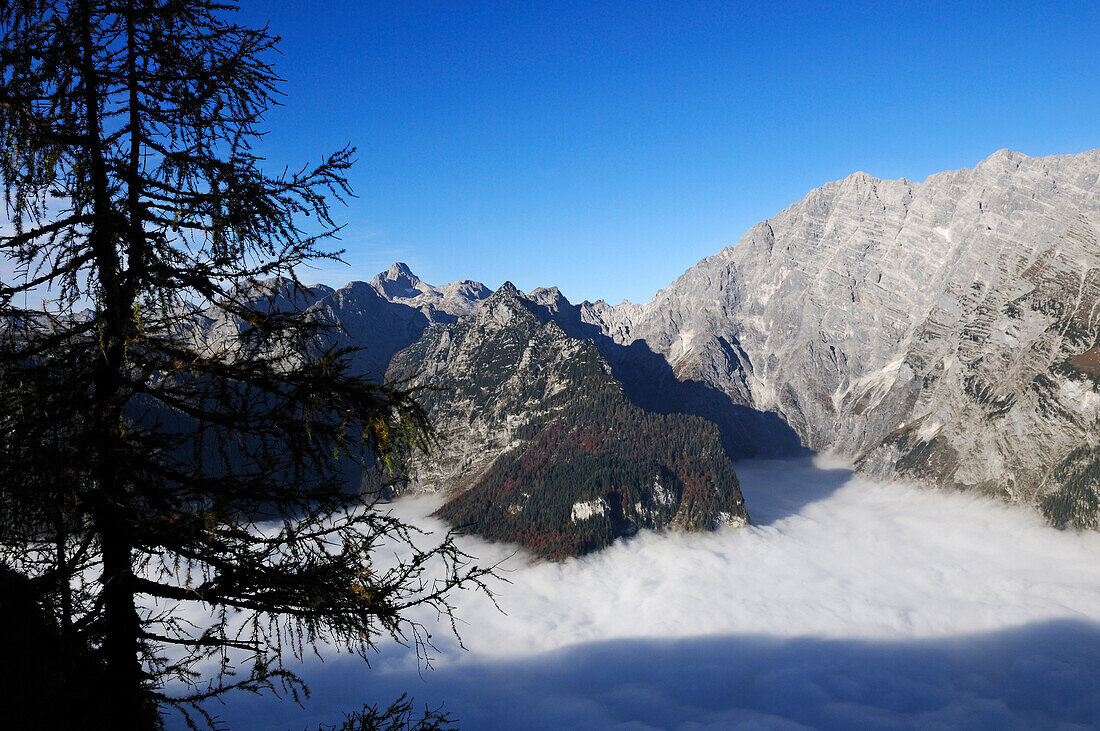 Nebelmeer über dem Königssee mit Watzmann im Hintergrund, Berchtesgadener Land, Oberbayern, Bayern, Deutschland