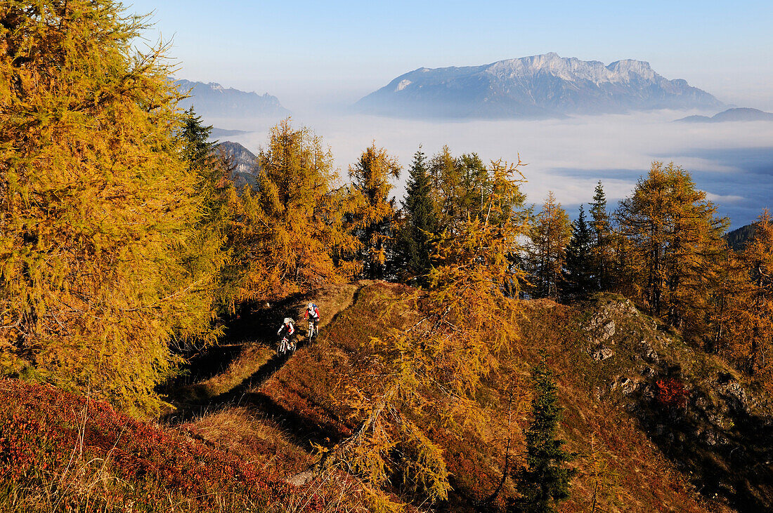 Mountain bikers passing mount Feuerpalven, sea of fog above lake Koenigssee, mount Untersberg in background, Berchtesgadener Land, Upper Bavaria, Germany