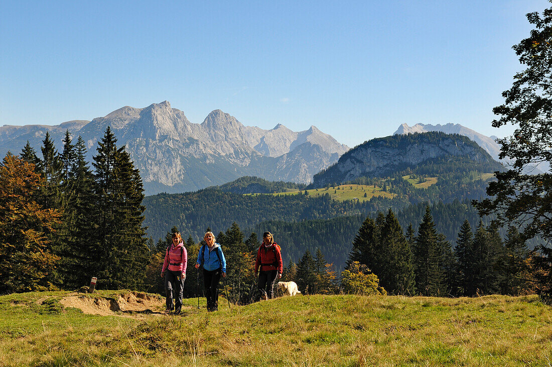 Female hikers at Winklmoosalm, Berchtesgaden Alps in background, Reit im Winkl, Chiemgau, Bavaria, Germany
