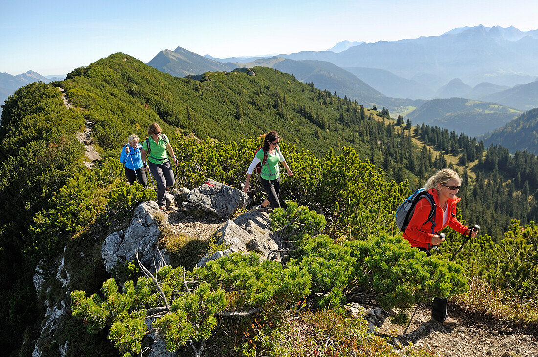 Women hiking along a ridge, Reit im Winkl, Chiemgau, Bavaria, Germany