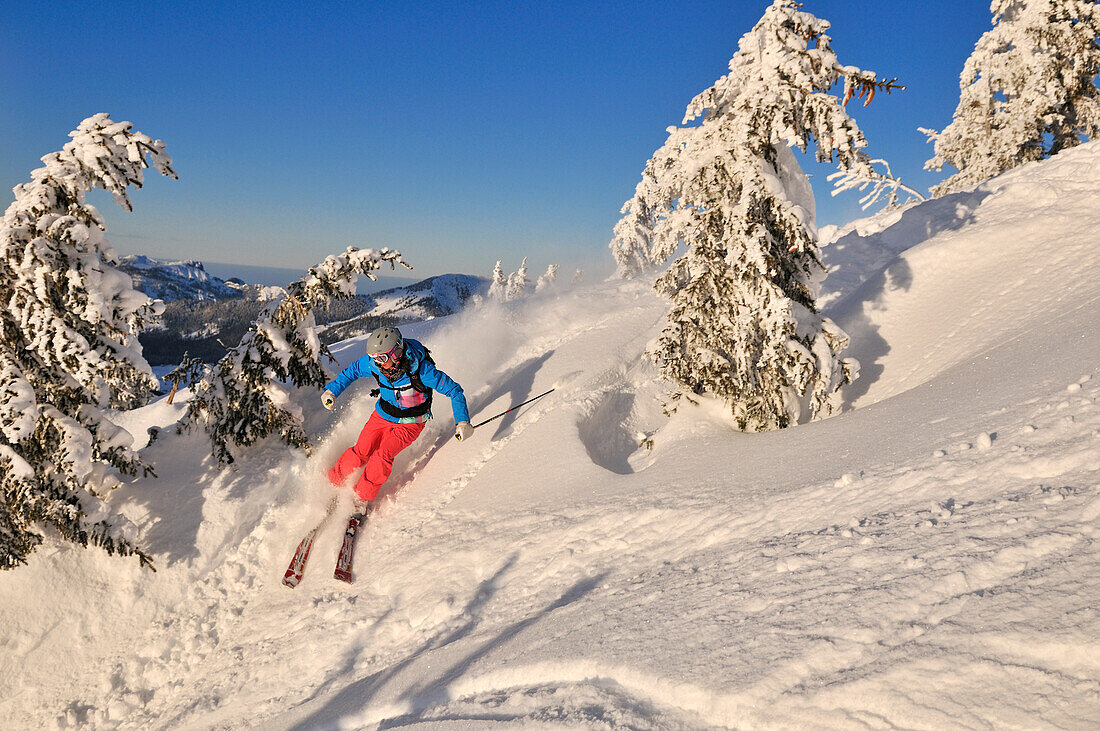 Skifahrerin fährt von Steinplatte ab, Reit im Winkl, Chiemgau, Bayern, Deutschland