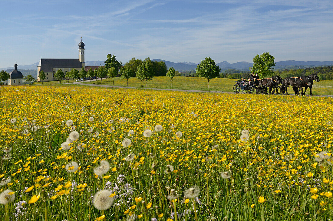 Pferdekutsche, Filial- und Wallfahrtskirche St. Marinus und Anian, Wilparting, Irschenberg, Oberbayern, Bayern, Deutschland