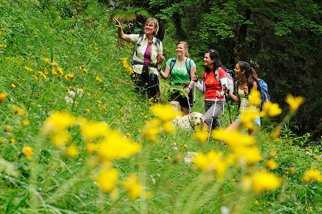 Women hiking, Reit im Winkl, Chiemgau, Upper Bavaria, Germany