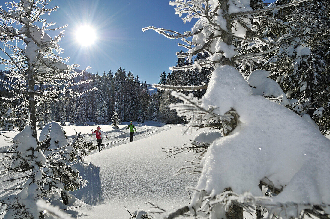 Cross-country skiers, Reit im Winkl, Chiemgau, Bavaria, Germany