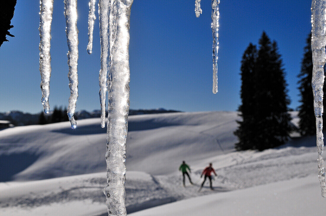 Cross-country skiers, Reit im Winkl, Chiemgau, Bavaria, Germany