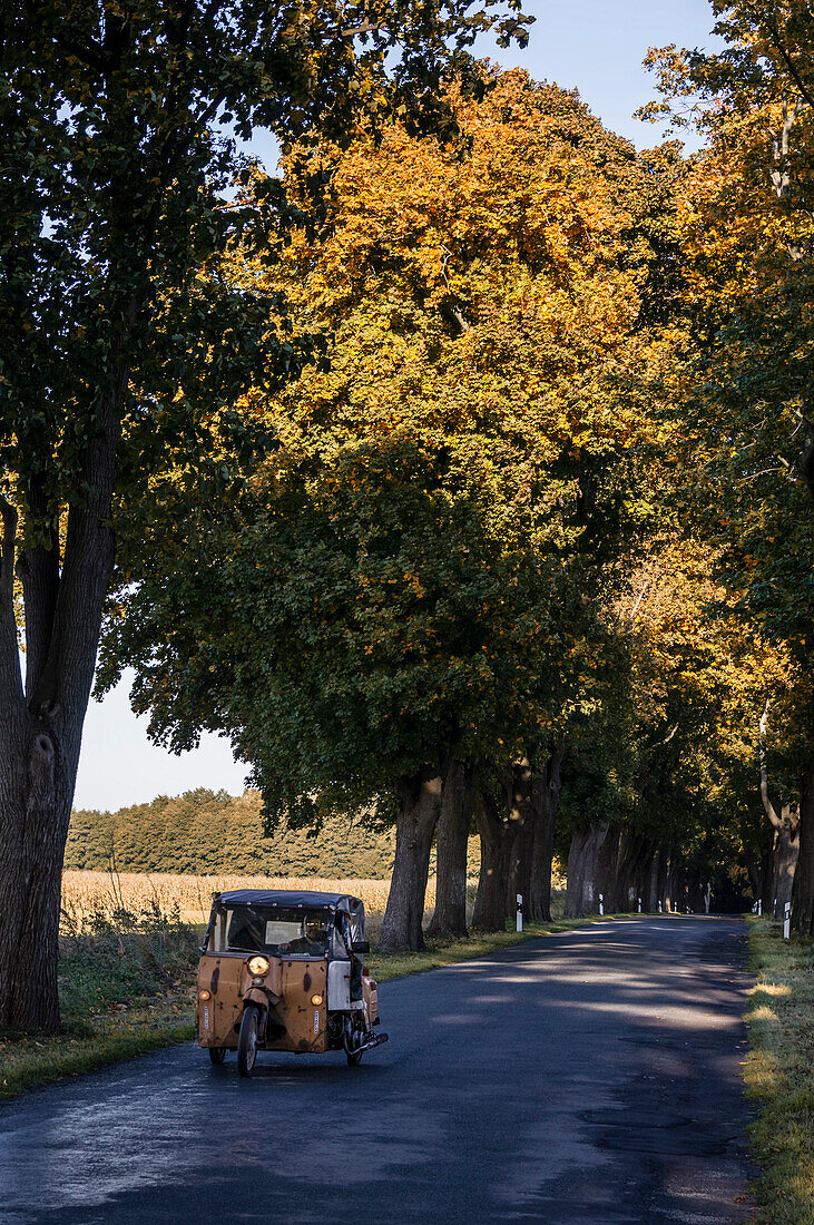 DDR Oldtimer Trike, Ahorn Allee in Rüdnitz, Brandenburg, Deutschland