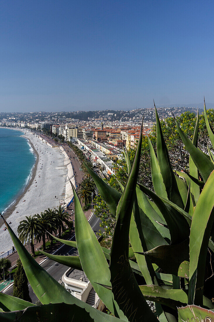 Elevated view over Nice Skyline, Promenade des Anglais, Alpes Maritimes, Provence, French Riviera, Mediterranean, France, Europe