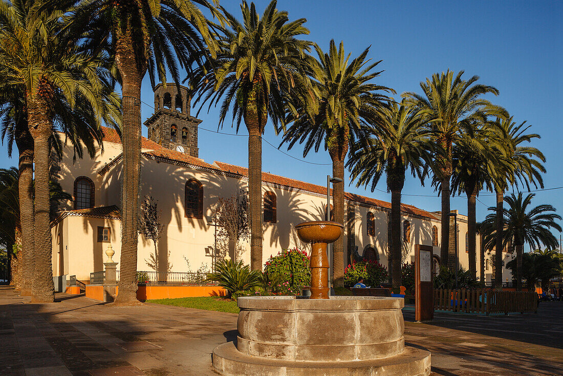 Palm trees, fountain on Plaza de la Concepcion square, Iglesia de Nuestra Senora de La Concepcion, church, San Cristobal de la Laguna, UNESCO world heritage, La Laguna, Tenerife, Canary Islands, Spain, Europe