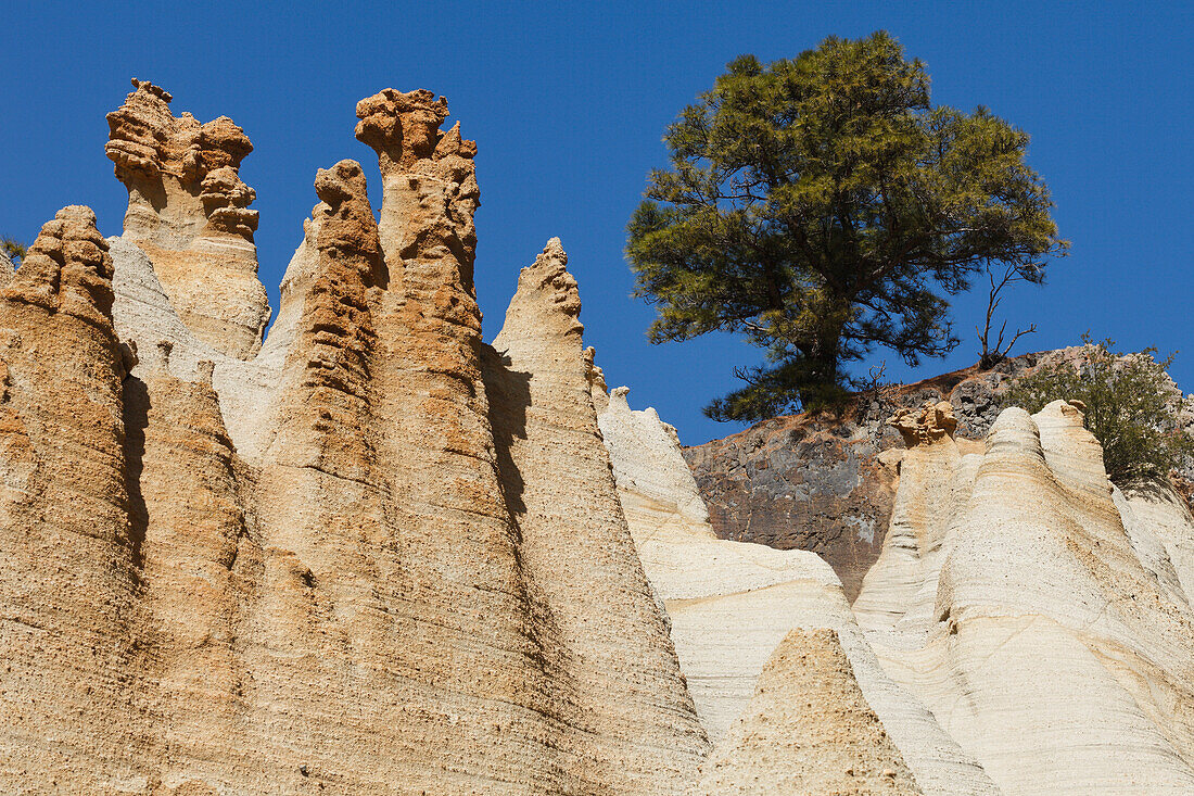 Paisaje Lunar, lunar landscape near Vilaflor, Parque Natural de la Corona Forestal, natural park near Teide National Park, Tenerife, Canary Islands, Spain, Europe