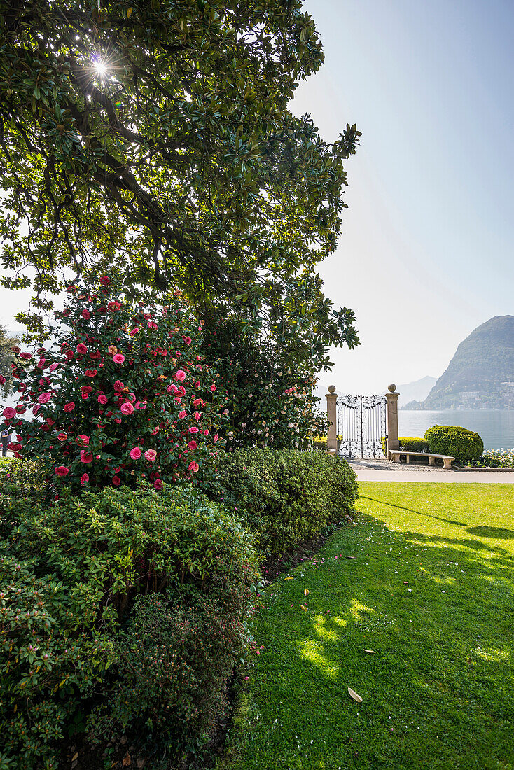 Parco Civico, Lugano, Lake Lugano, canton of Ticino, Switzerland