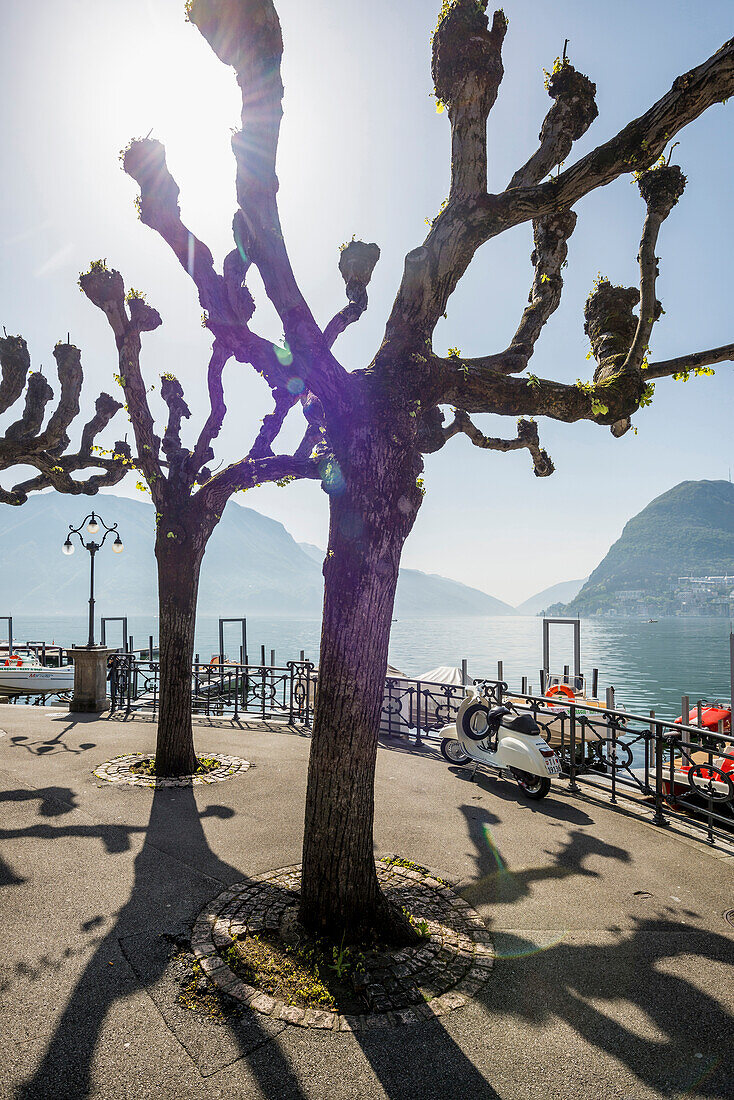 Lake shore in Lugano, Lake Lugano, canton of Ticino, Switzerland