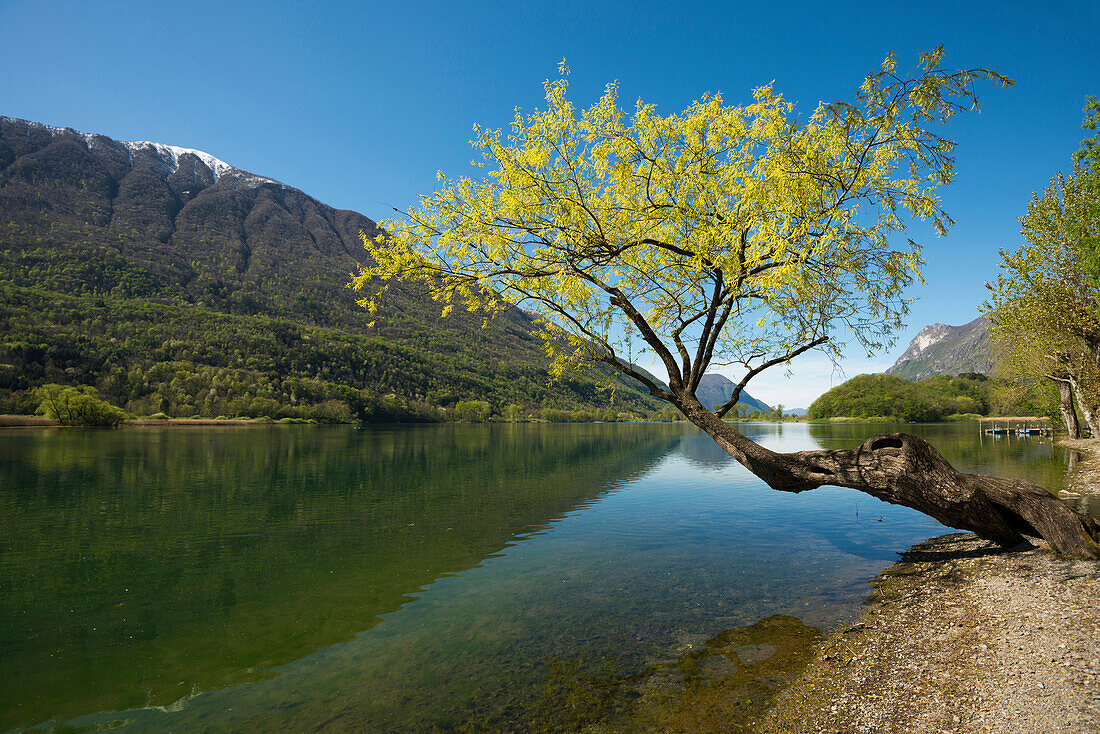 Reflection of mountains in the lake, Lago di Piano, near Porlezza, Province of Como, Lombardy, Italia