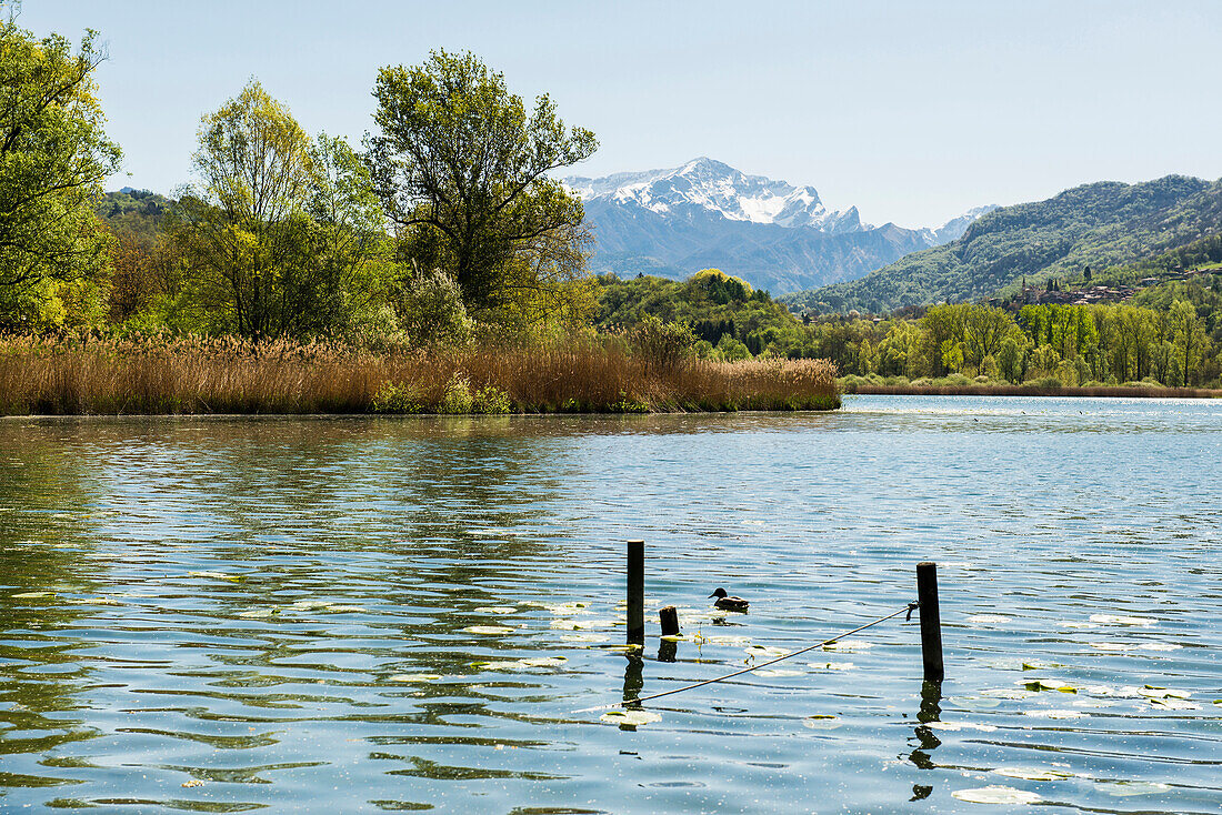See, Lago di Piano, bei Porlezza, Provinz Como, Lombardei, Italien