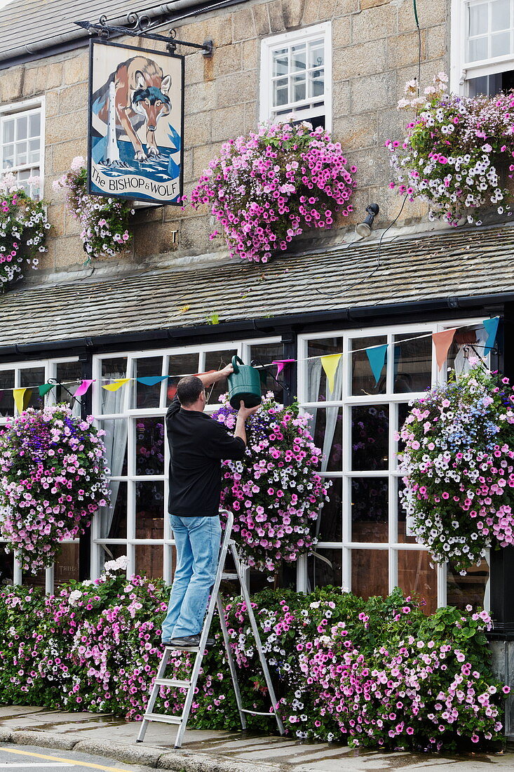 man watering the flower baskets outside the Bishop and Wolf Pub, Hugh Town, St. Marys, Isles of Scilly, Cornwall, England, Great Britain