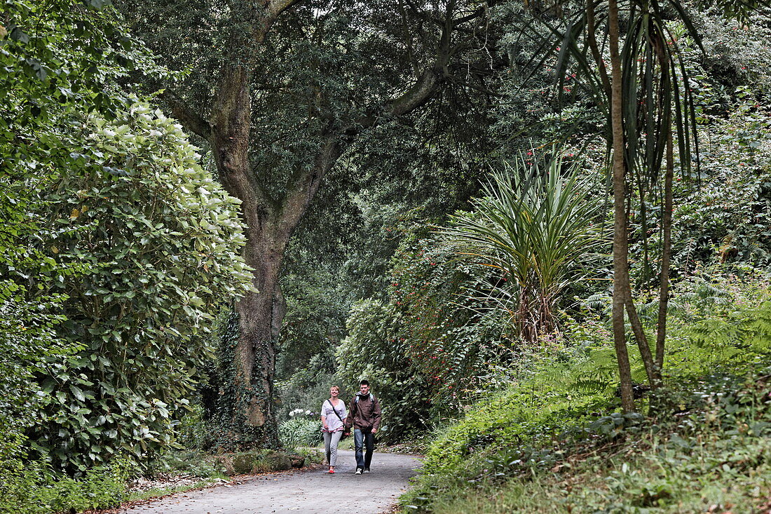 Abbey Garden, Tresco, Isles of Scilly, Cornwall, England, Great Britain