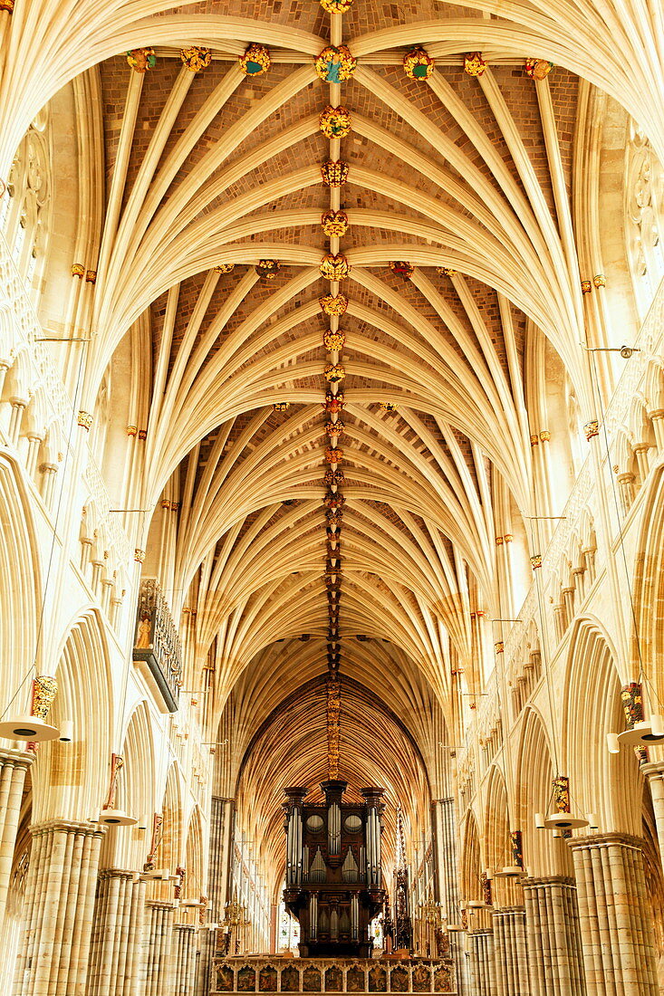 Gewölbedecke der Kathedrale, Exeter, Devon, England, Grossbritannien