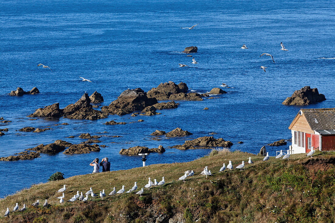 Lizard Point, The Lizard, Cornwall, England, Great Britain