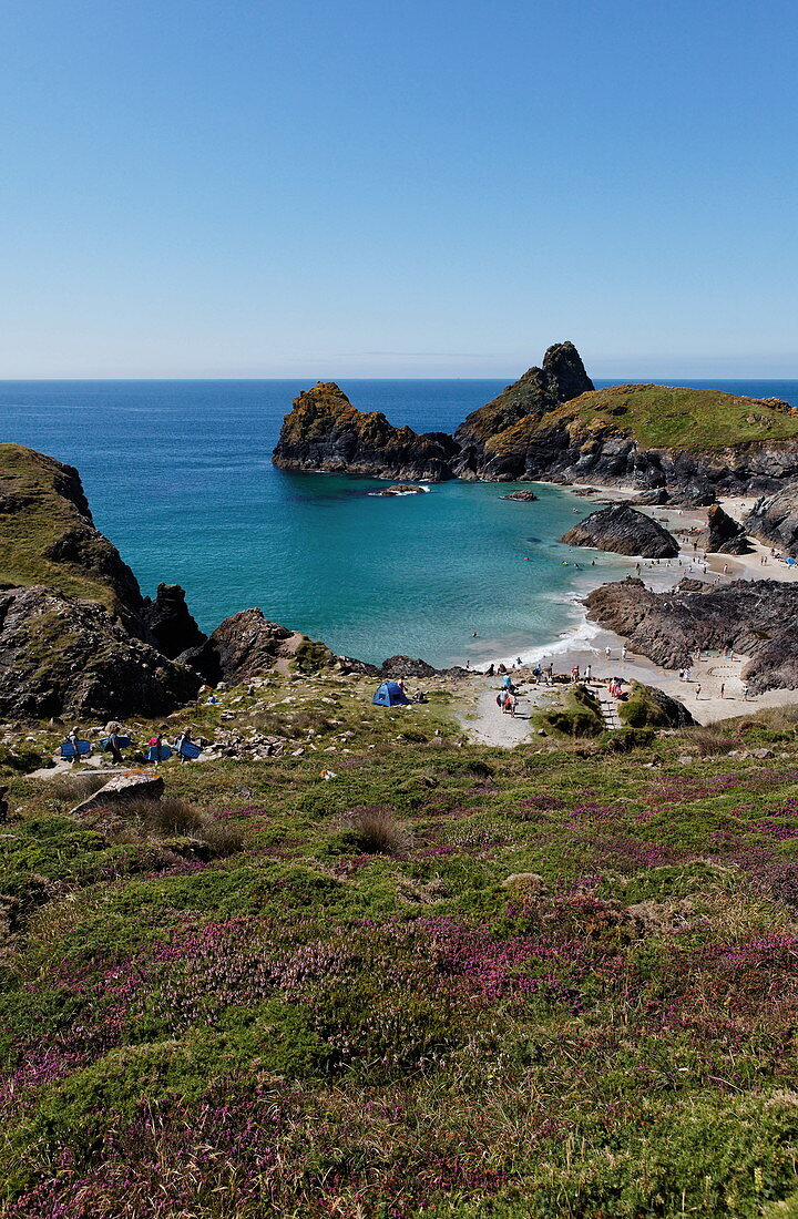 Kynance Cove, The Lizard, Cornwall, England, Grossbritannien