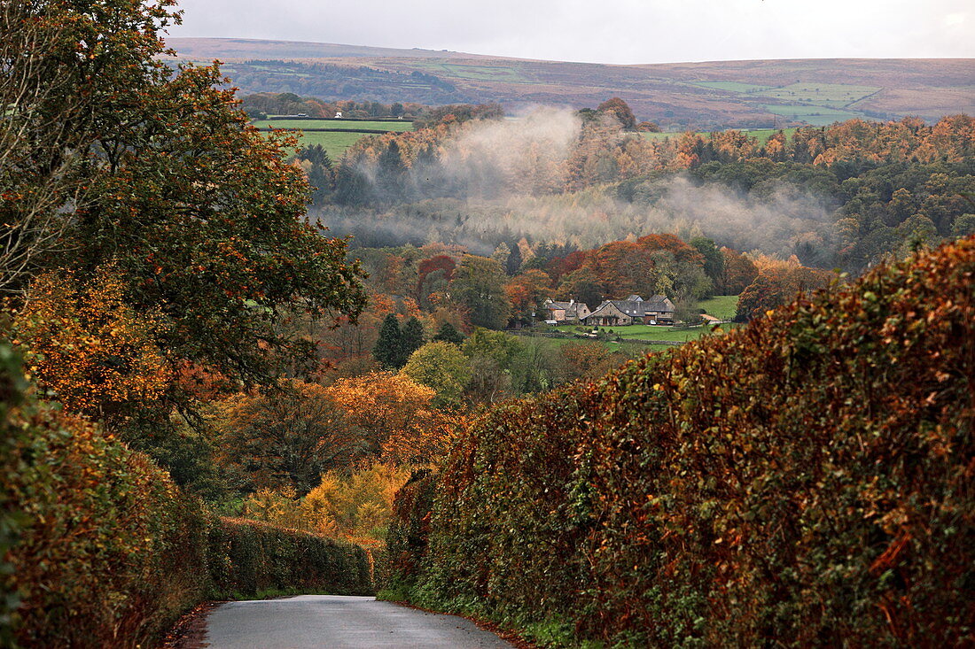 Landschaft bei Castle Drogo, Drewsteignton, Dartmoor, Devon, Großbritannien, England