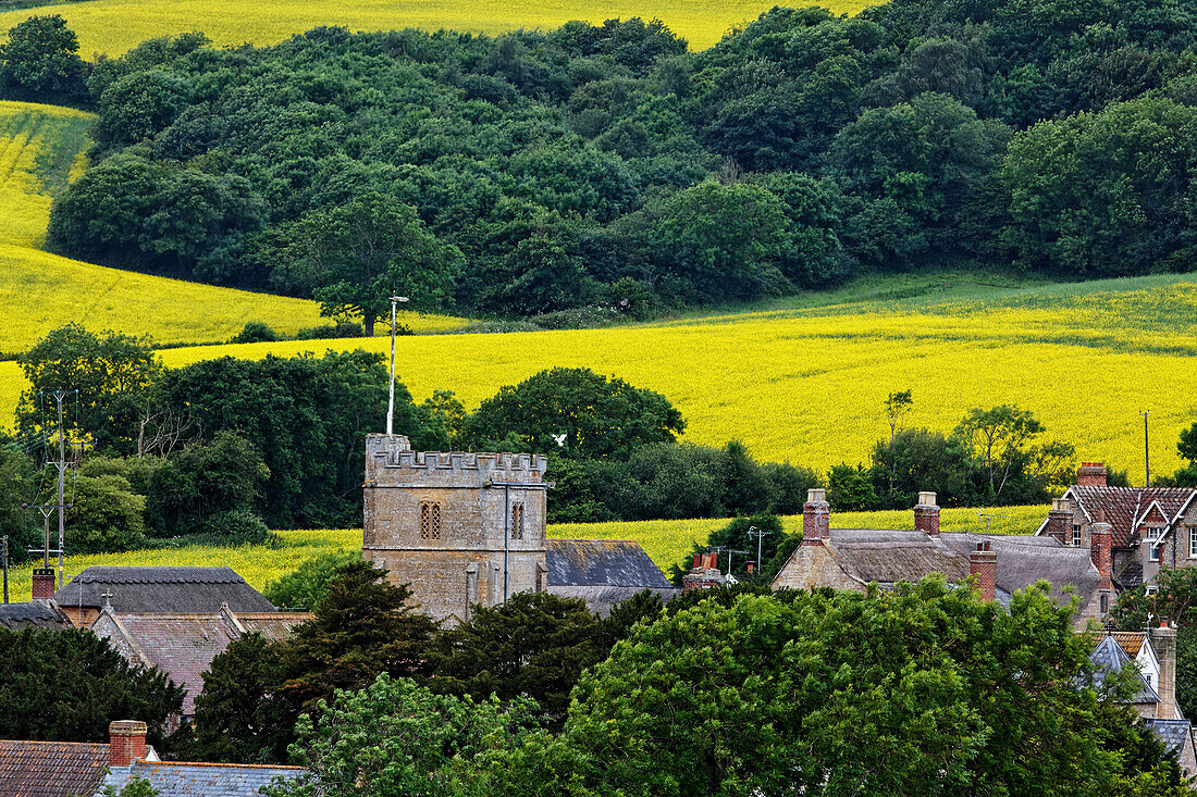 Dorfkirche, Chideock, Dorset, England, Grossbritannien