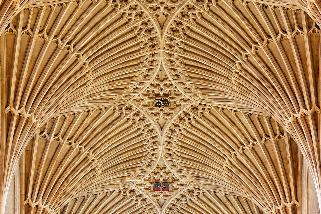 Vault in Bath Abbey, Bath, Somerset, England, Great Britain