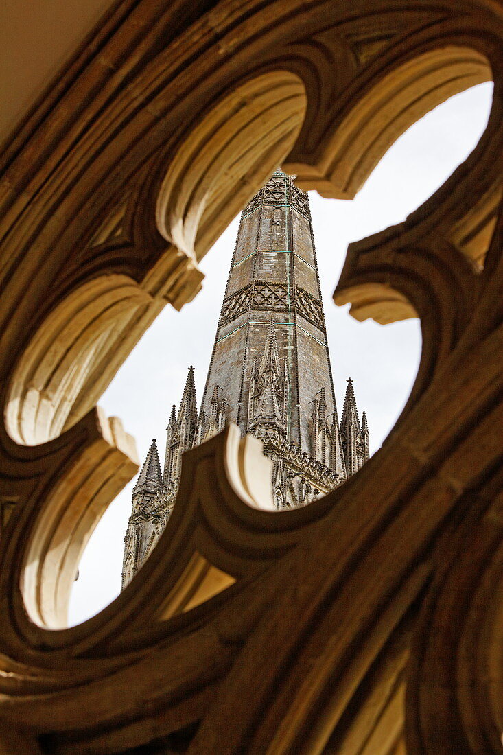 Blick durch eine Steinrosette im Kreuzgang, Kathedrale von Salisbury, Salisbury, Wiltshire, England, Grossbritannien