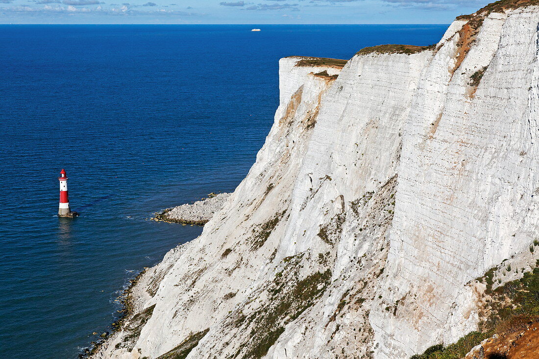 Chalk cliffs, Beachy Head, East Sussex, England, Great Britain