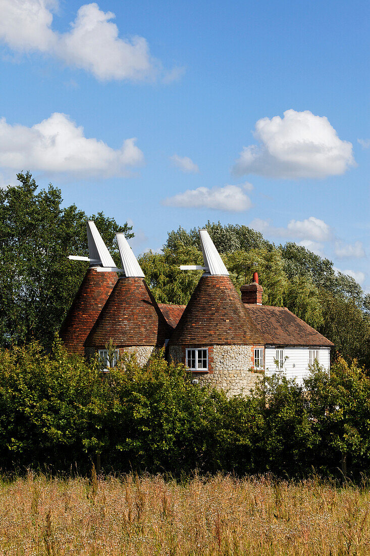 Oast houses,  designed for drying hops as part of the brewing process, East Sussex, England, Great Britain