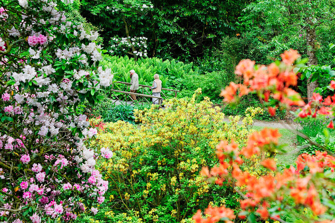 Minterne Gardens, Dorset, England, Great Britain