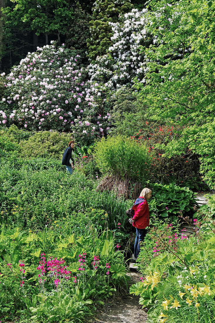 Frauen in Minterne Gardens, Dorset, England, Grossbritannien